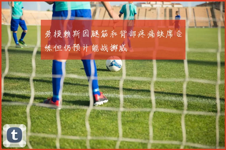 劳模赖斯因腿筋和背部疼痛缺席合练但仍预计能战挪威