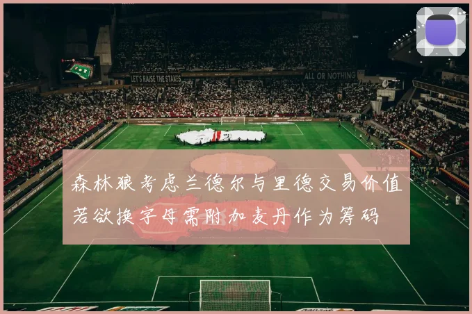 森林狼考虑兰德尔与里德交易价值若欲换字母需附加麦丹作为筹码
