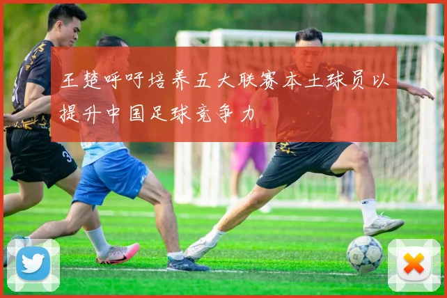 王楚呼吁培养五大联赛本土球员以提升中国足球竞争力