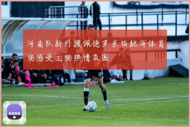 河南队新外援佩德罗亲临航海体育场感受主场热情氛围
